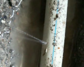 乌拉特前卫生间测漏水多少钱